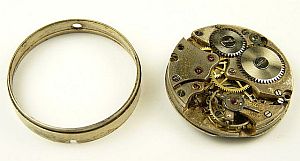 Taubert screw in back